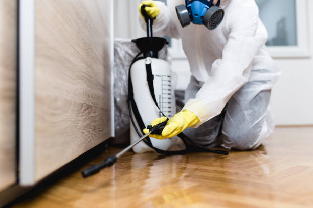 Best Local Pest Control Services  in Grosse Pointe Woods, MI