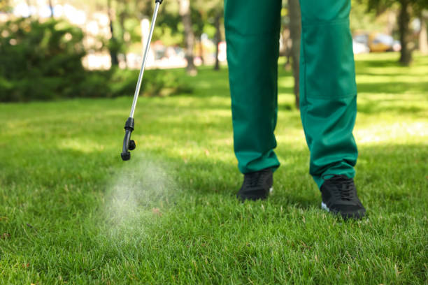 Best Pest Removal Services  in Grosse Pointe Woods, MI