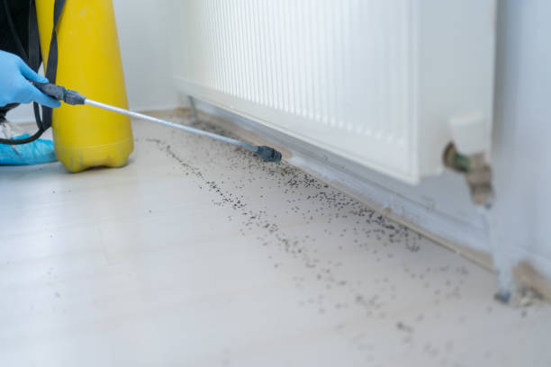 Best Commercial Pest Control Services  in Grosse Pointe Woods, MI